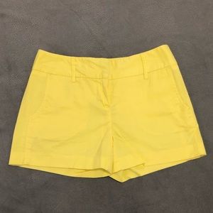 Daisy Fuentes Petite Shorts